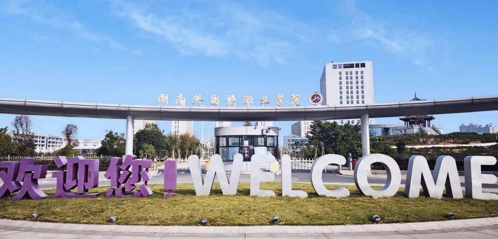 抢分计划高效备考秘籍大放送！尊龙AG人生就是博湖南单招(图6)