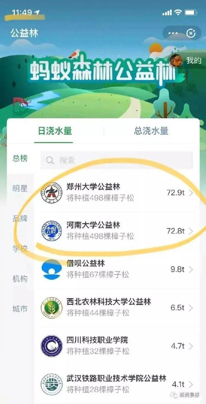 “中国锦鲤之父”疑似离职阿里创业人生就是搏“80万蓝V总教头”、(图8)